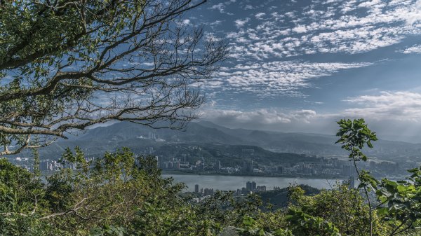 觀音山(北橫古道)1542387