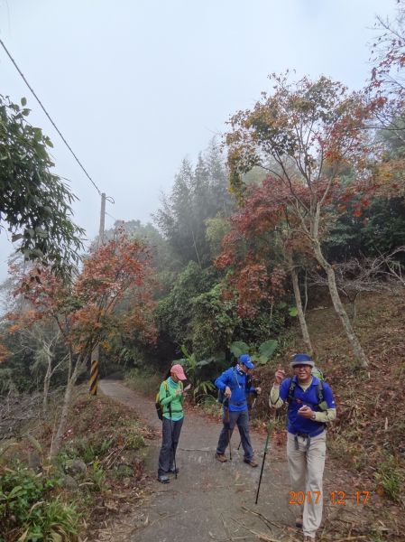 馬那邦山登山步道 2017 12 17226519