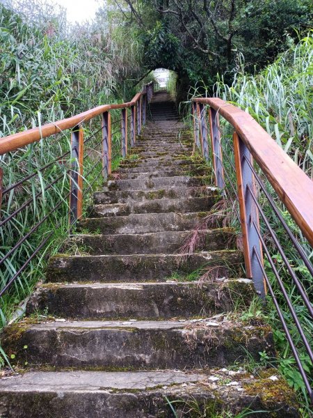 小百岳集起來大塔山步道