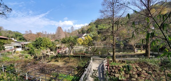 2021-02-10九芎湖步道群(九福、觀南、霽月步道)1363940