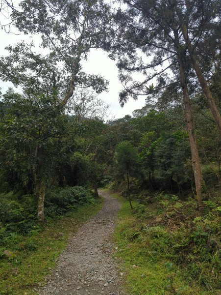 2025.01.10－松羅國家步道2981170