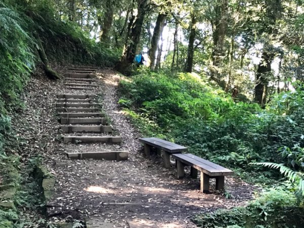 自忠上東水山連走特富野古道1244590