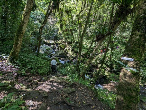 逐鹿山水路上卡保山(未經逐鹿山)2171965