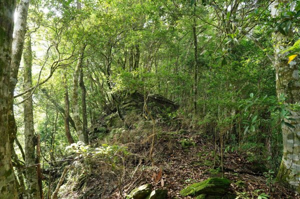 新北 烏來 下阿玉山2821606