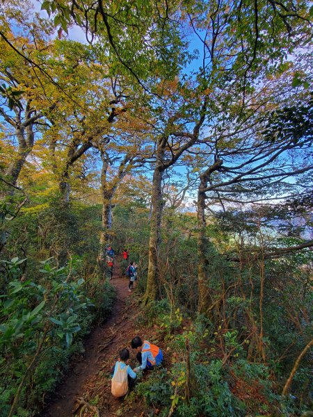 阿興阿賢北得拉曼步道、內鳥嘴山723063