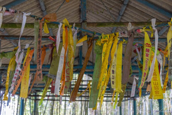 [南投]集集大山2940654