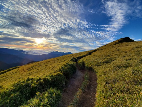 2天7萬步 步步都懷疑人生-南華山748303