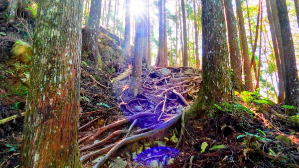 油羅山(一上三下)2959129