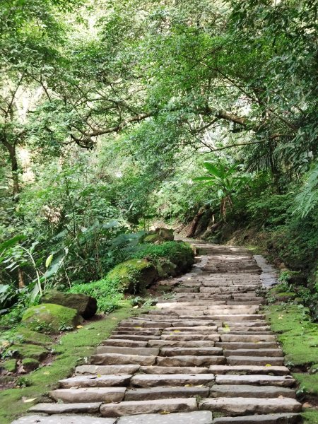 沐浴佛法的獅山古道506949