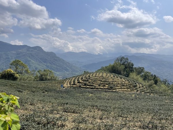 小格頭越嶺坪林2738374