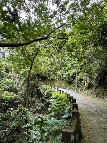 【臺北】仙跡岩步道2497664