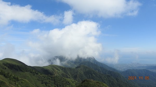 秋高氣爽芒花季 - 陽明山再見雲海1503922