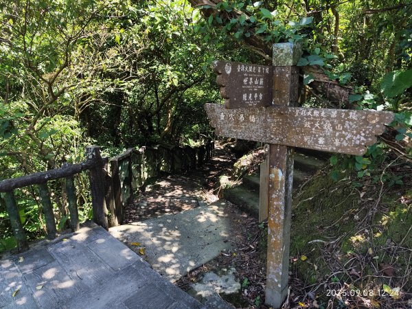 【臺北大縱走 7】2-2 指南宮貓空親山步道→壺穴步道→茶展中心步道→大成殿步道→指南宮竹柏參道2881858