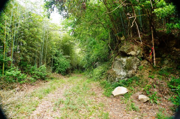 新竹 尖石 那羅山、煤源山3068647