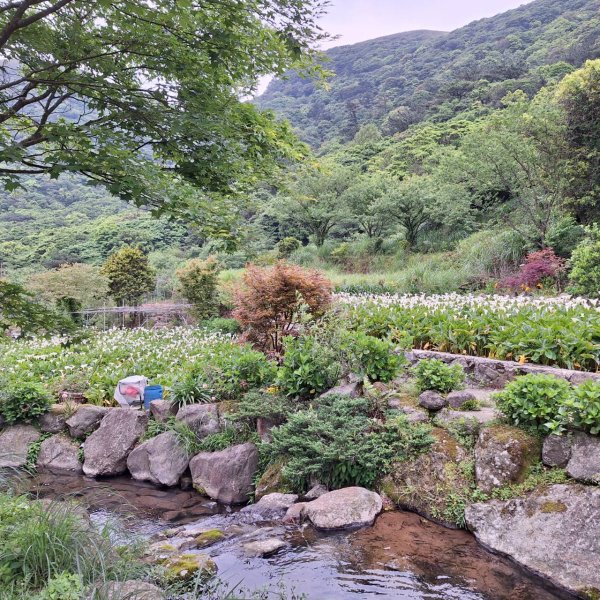 2025臺北大縱走-小油坑到二子坪-第二段完成!2781335