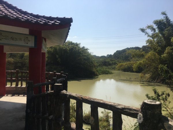 關廟森林公園、天空步道2423623