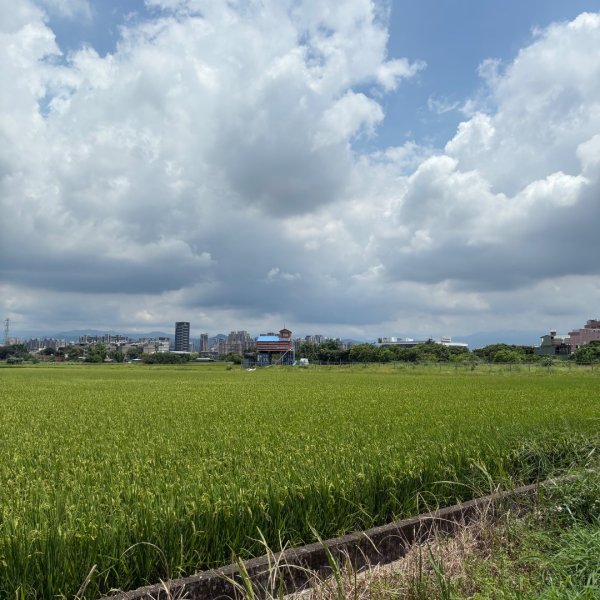 250621 霄裡好風光一日遊2883057
