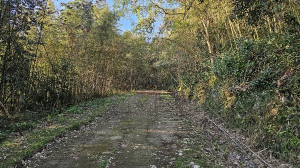 鵝公髻山 鵝公髻山東北峰 第一登山口上下入門路線2395269