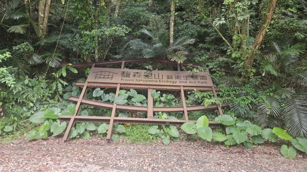 20250621叢雲山-740峰O型2821842