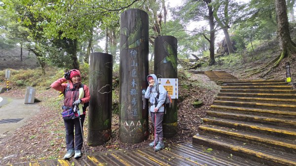 美到爆，觀霧國家森林遊樂區檜山巨木群步道2677766