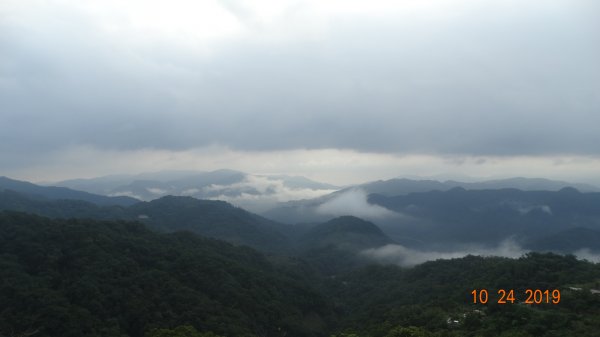 朝陽步道&粉鳥林&石碇雲海712081