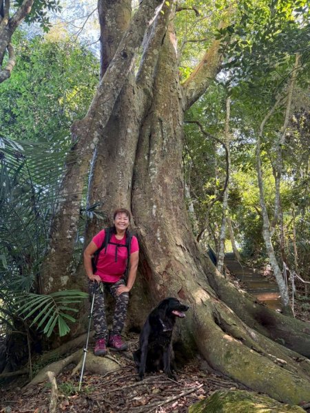雙崎埋伏坪山歩道、鯉魚潭水庫、大峽谷2938945
