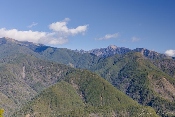 福壽山千櫻園櫻花季初開2717420