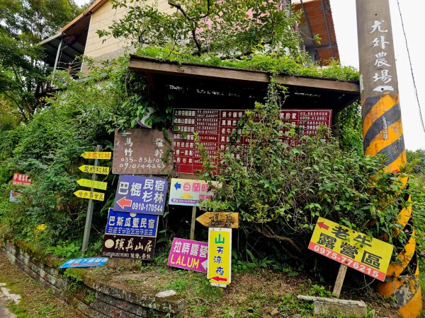 白蘭溪古道-2025森遊竹縣皮皮獅探險隊2895453