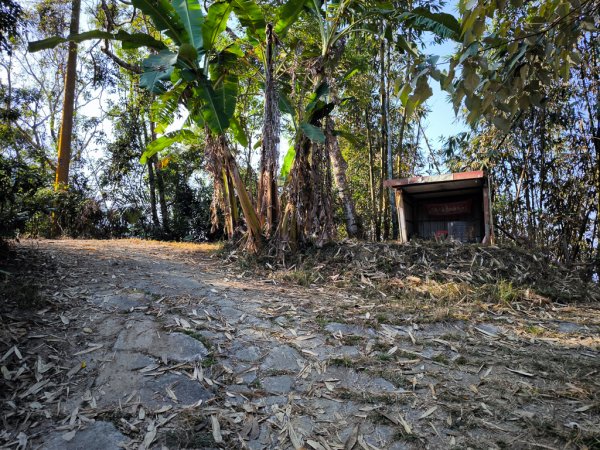 2026-02-10 白雲山2999929