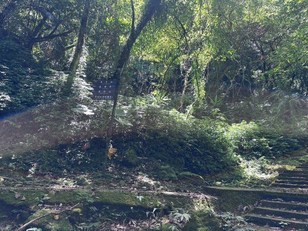 平溪小黃山2873260