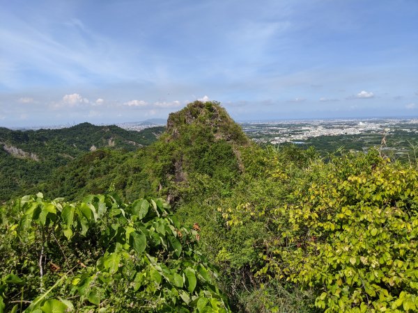 20200628雞冠山自然生態步道1013092