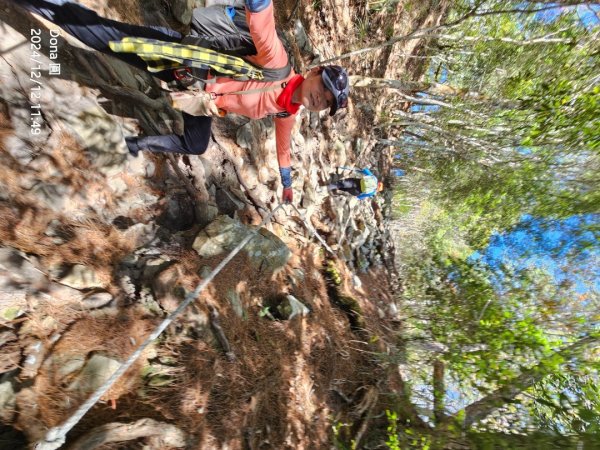 【谷關七雄】波津加(H1771.6m)肉腳配速成功2670459