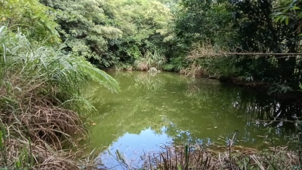 萬里區石門嶺古道(保甲路)-溪畔小徑-雙溪溝古道3087318