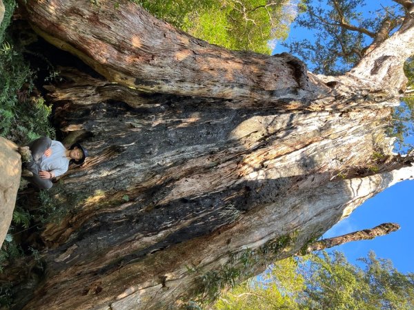 20221112_北得拉曼山2762273