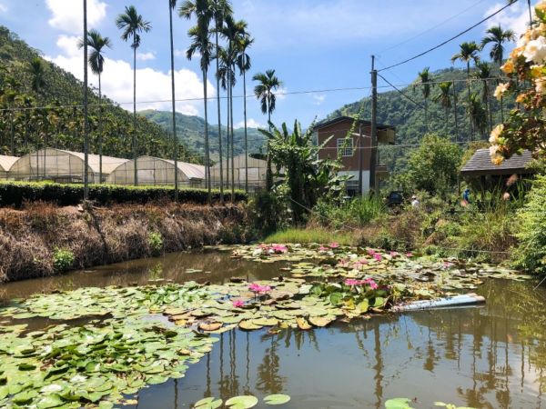 竹坑溪步道（龍宮瀑布、雷音瀑布）339809