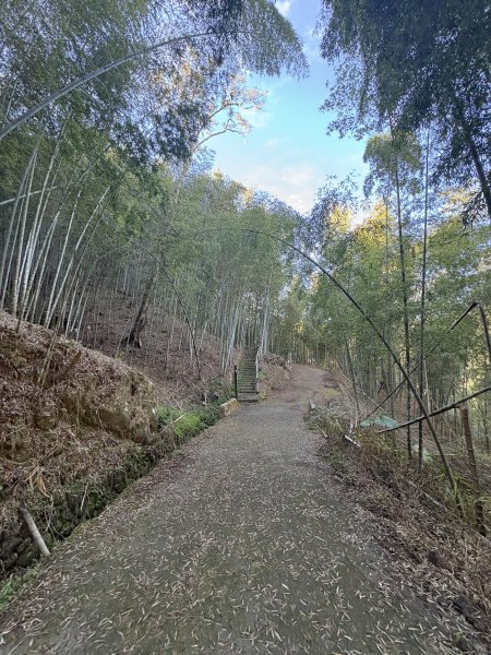 20251221嘉南雲峰、石壁山登山步道2968076