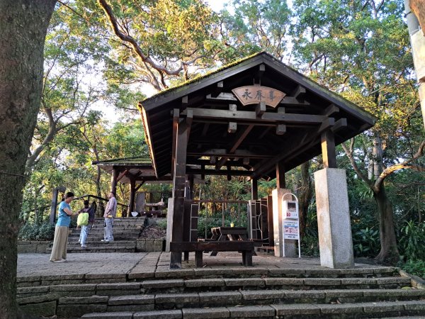 台北象山親山步道3116060