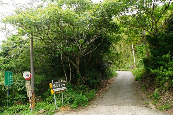 新竹 尖石 八五山、李崠山、鳥嘴下山3060727