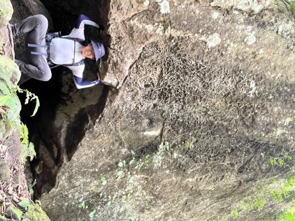 20230506_五指山（新竹小百岳）2762380