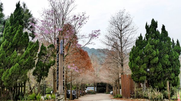楊梅保甲古道,福人登山步道2695947