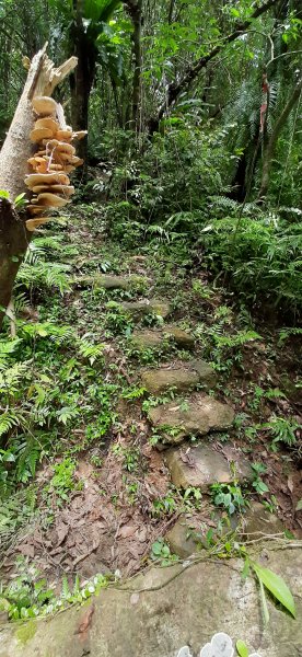 20200509 暖暖 - 威惠廟960904