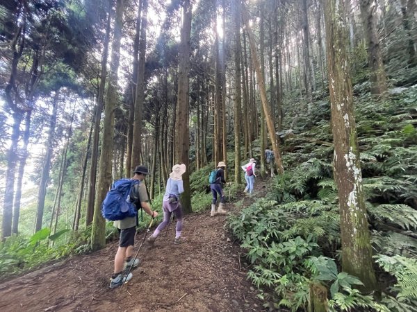 油羅山 2025 09/132890041