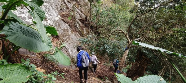 2025/12/25_冬瓜山神木步道2971971
