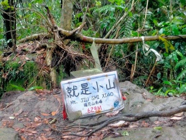 壹北大縱走第四段：風櫃嘴至大湖公園2809608