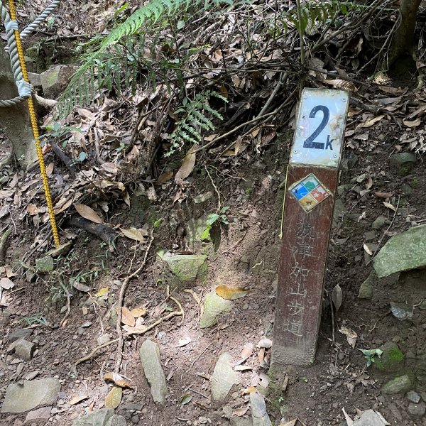 谷關七雄-波津加山1104248