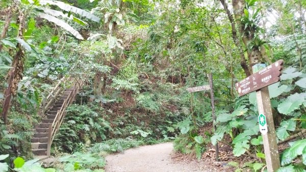短短幾分鐘從都市叢林走進叢叢森林中-富陽自然生態公園