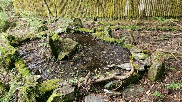 20250420古魯古道-大元山-大元國小2767388