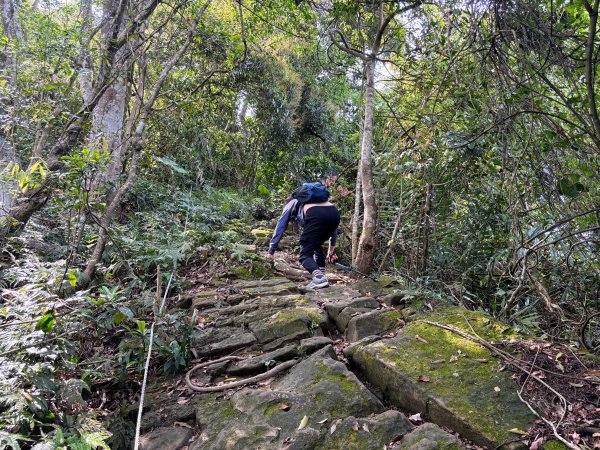 暗影山步道2753097