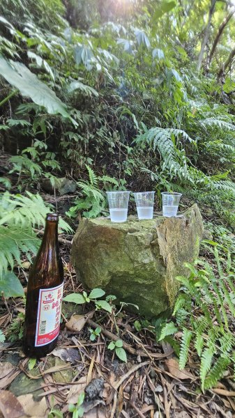 【我的第一個教師節🤣🤣】解鎖第51座小百岳#083三角崙山（抹茶山、聖母登山步道）2900598