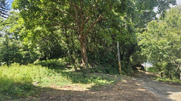 20250924法雨寺步道-鳳梨宅-第八公墓-詹氏宗祠-泉源國小宿舍-東昇路菜園-緣園農場2894225